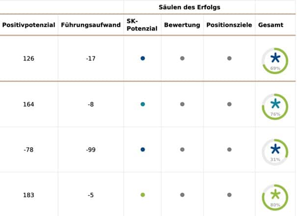 Erfolgsbewertung Tabelle mit SK-Potenzial und Gesamtprozent.